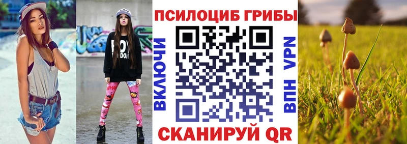 Галлюциногенные грибы Magic Shrooms  Купить где  Клин 